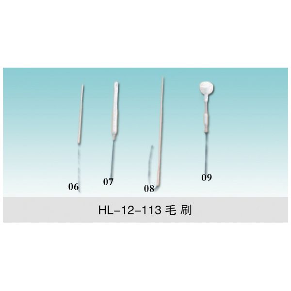 HL-12-113 實(shí)驗(yàn)室專用毛刷